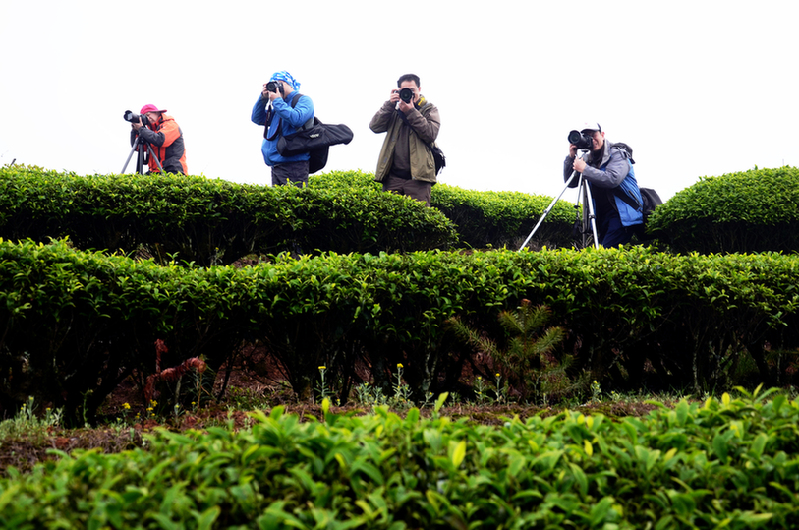 ��������@�L�� ��@��ɫ�뮋��