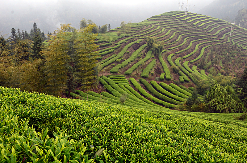 �������(ch��ng)�@�L(f��ng)�� ��@��ɫ�뮋��(l��i)