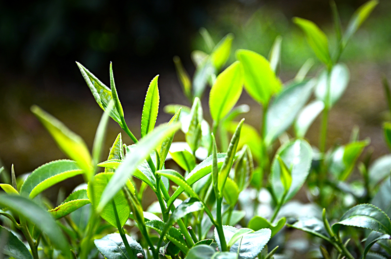 ��������@�L�� ��@��ɫ�뮋��