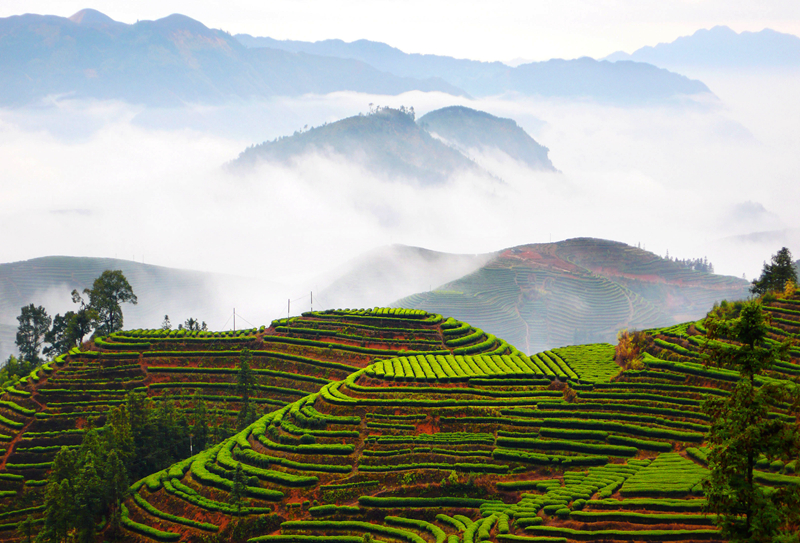 ��������@�L�� ��@��ɫ�뮋��