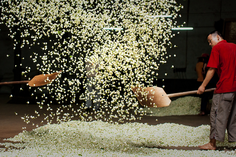 ��������@�L�� ��@��ɫ�뮋��