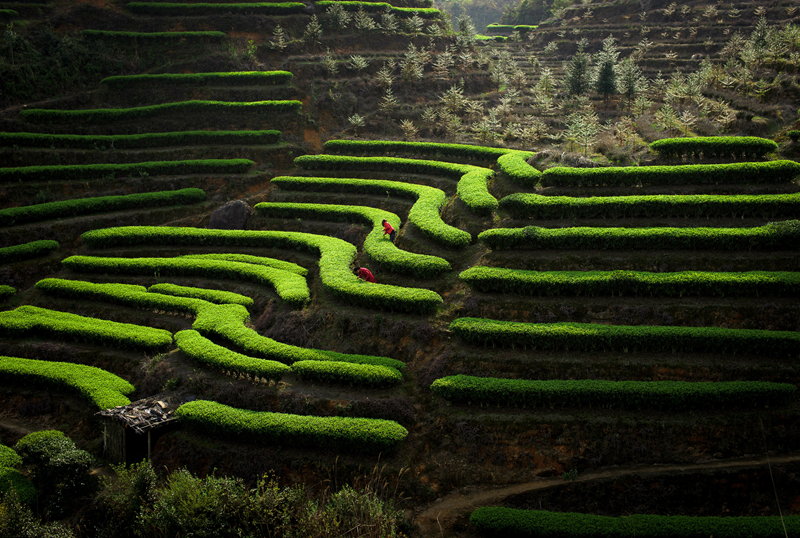 ��������@�L�� ��@��ɫ�뮋��