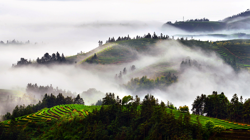 ��������@�L(f��ng)�� ��@��ɫ�뮋��