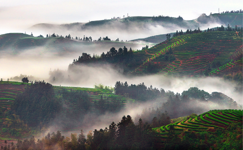 ��������@�L�� ��@��ɫ�뮋��