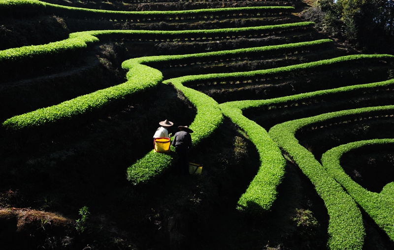 ��������@�L�� ��@��ɫ�뮋��