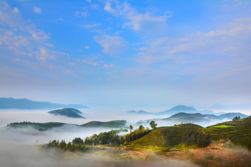 ��������@�L�� ��@��ɫ�뮋��