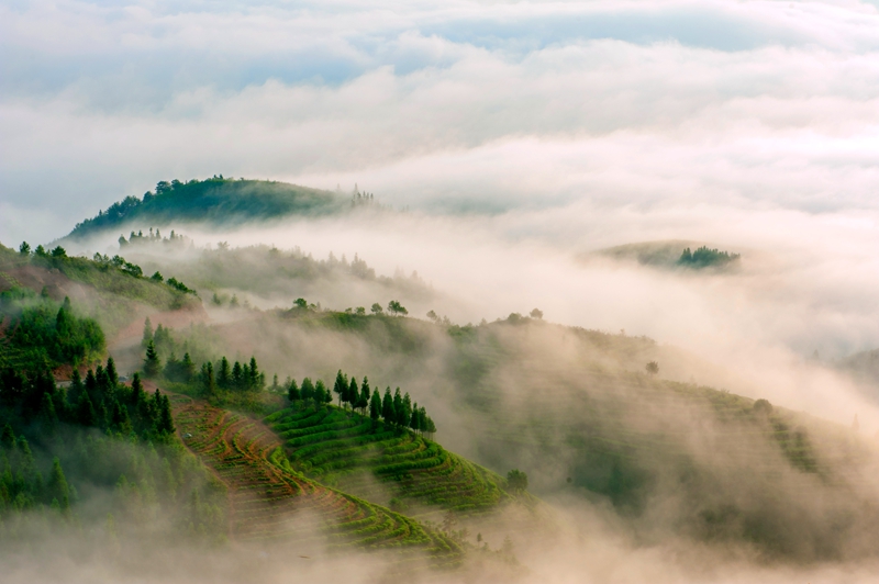 ��������@�L�� ��@��ɫ�뮋��