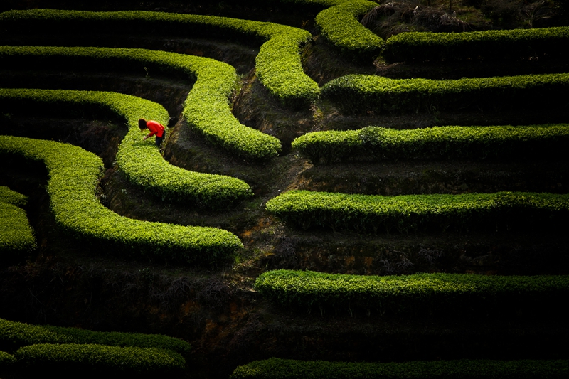 ��������@�L�� ��@��ɫ�뮋��