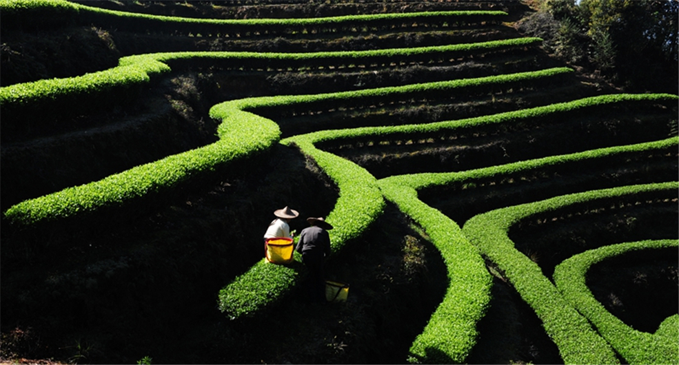 ��������@�L�� ��@��ɫ�뮋��