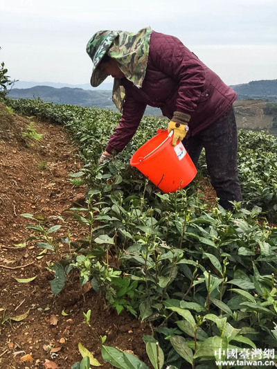 ���L�Fһ�Ѕ��^�����I(y��)�����Ї��_���W(w��ng)ӛ�� ���� �z��