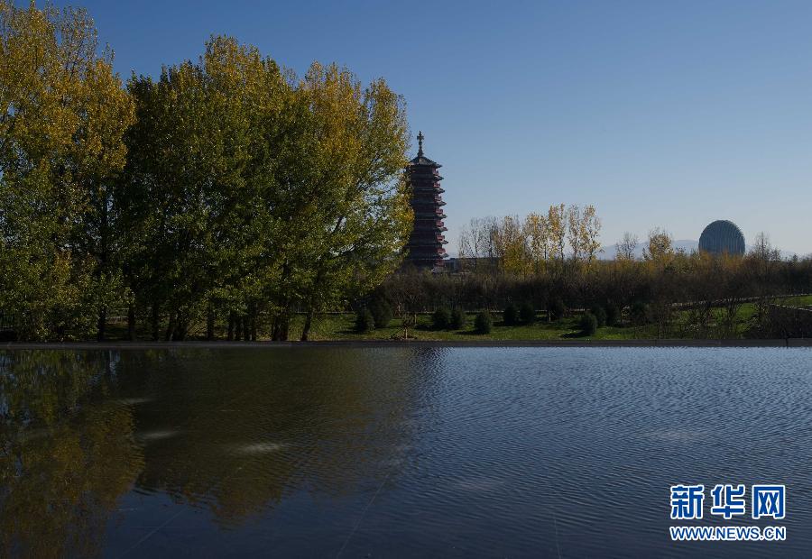 �����M(j��n)��APEC�r�g