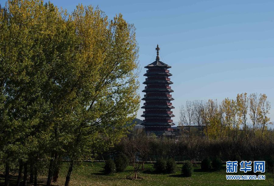 �����M(j��n)��APEC�r(sh��)�g