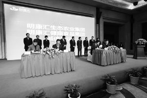 海亮集團開啟農(nóng)業(yè)大幕:誠信護衛(wèi)食品安全 海亮集團開啟農(nóng)業(yè)大幕:誠信護衛(wèi)食品安全