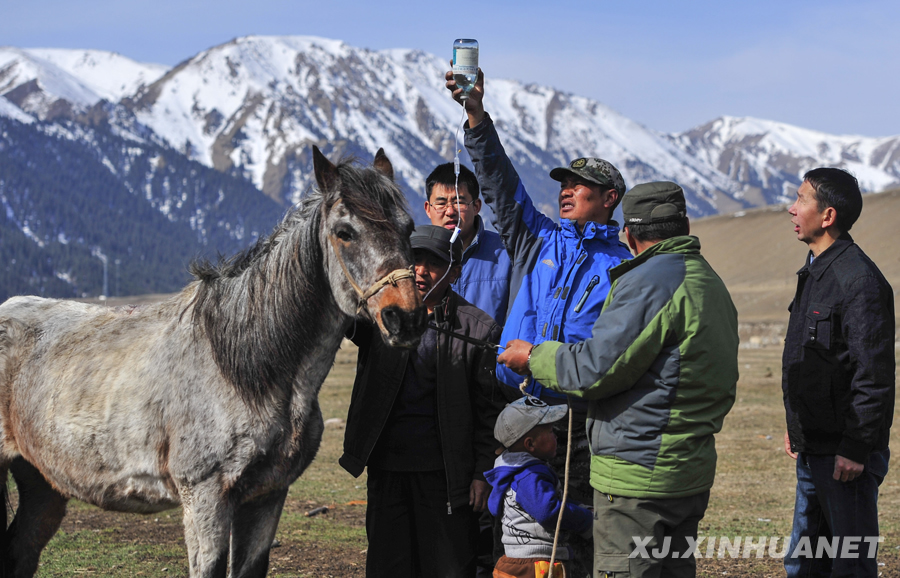 ���x���� �����B�Ę򡱡��½��_չ���L����,������,�����ġ���Ӽo��