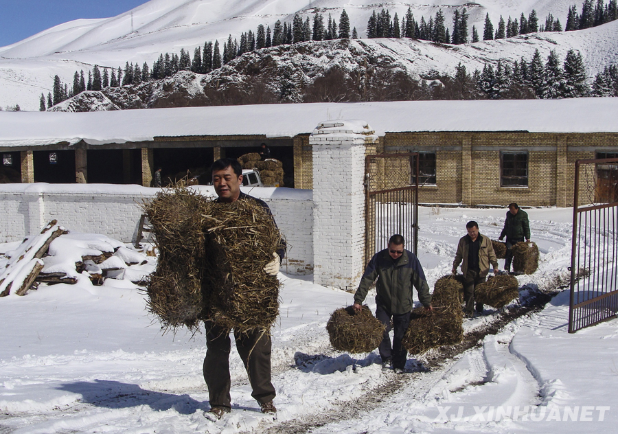 ���x���� �����B�Ę򡱡��½��_չ���L����,������,�����ġ���Ӽo��