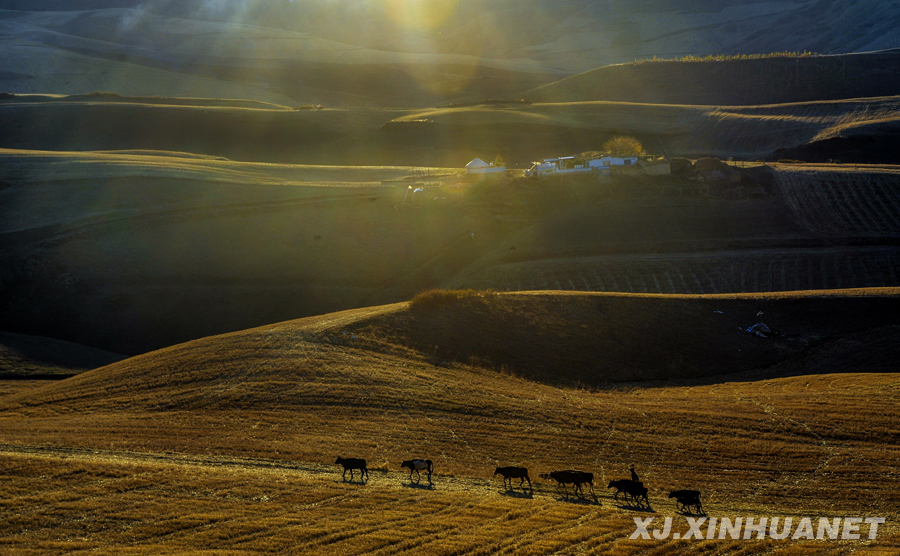 �����½���������ꖹ�a�I�츣����