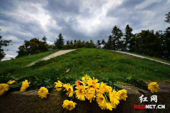 �����Ͽ���(zh��n)����Ѳ�Y����������(zh��n)���꿹��(zh��n)��?zh��)��?zh��n)�۹��Ӱ���