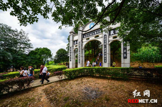 �����Ͽ���(zh��n)����Ѳ�Y����������(zh��n)���꿹��(zh��n)��?zh��)��?zh��n)�۹��Ӱ���