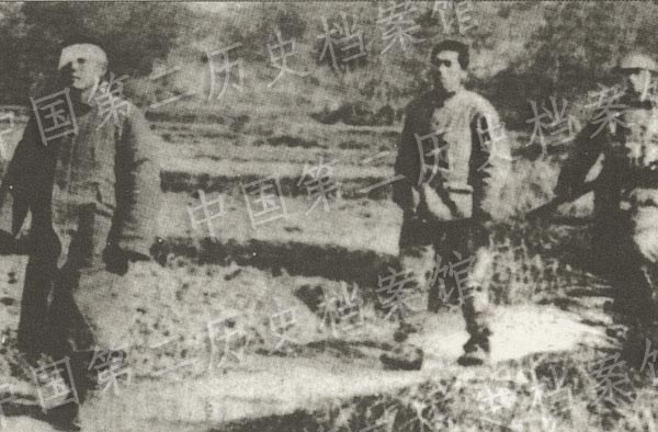 �Ї��ܽ��n�����ļ����Ї������ľֲ�����(��)