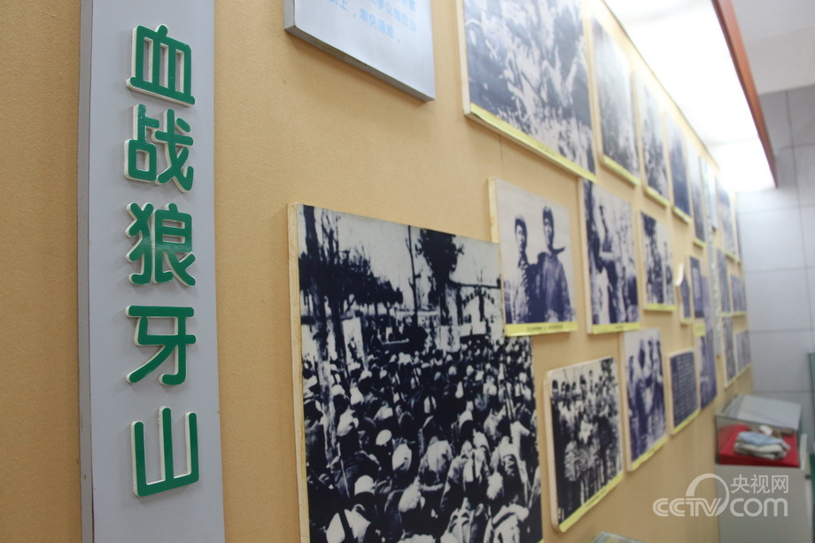 Ӣ�ۣ������ҵİ��