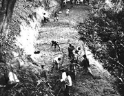 ȫ���忹��(zh��n) ���ϙn��ӛ��(��):�ᾒ��· ����(zh��n)��Ѫ����