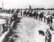 �ػء�������׃�����l(f��)��:78��ǰ��ıR�Ϙ�