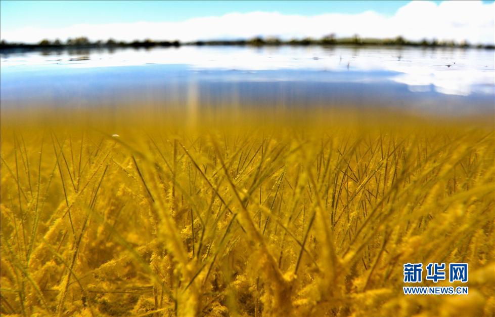 ���M����Ǽ����Ȼ���o�^