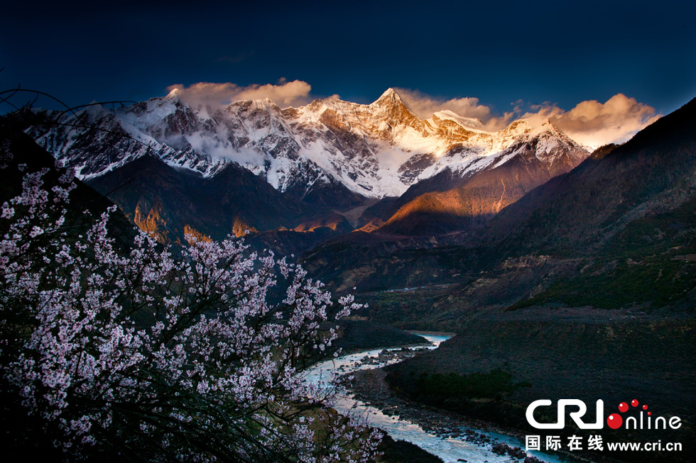 ������֥��̽�L���е��һ�Դ