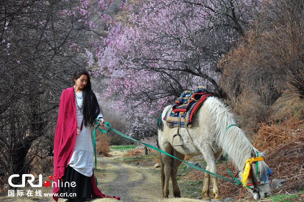 ������֥��̽�L���е��һ�Դ