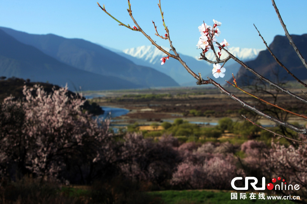 ������֥��̽�L���е��һ�Դ