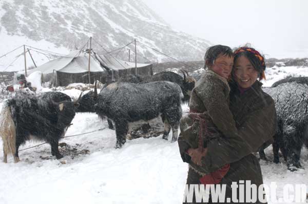 ��ѩ���wȺɽ���@Щ�ں����г��L�����ĺ��ӵ춨���պ������Ը�