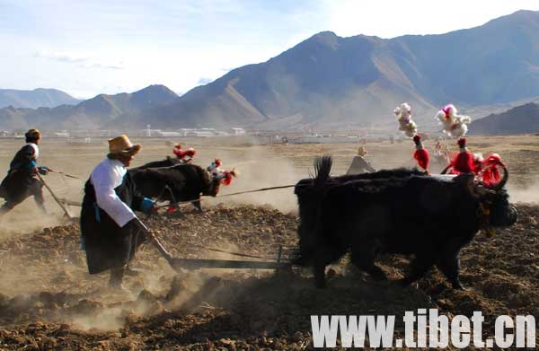 ��ţ̧����һ�磨�����@�׌ý��O������x���r���߼o���Ї����a�h����85����zӰˇ�gչ�[�~������