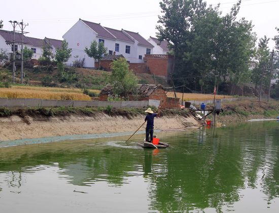 ̽�L������(zh��n)�O����^(q��)