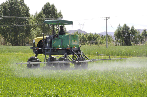 �Ƽ�������