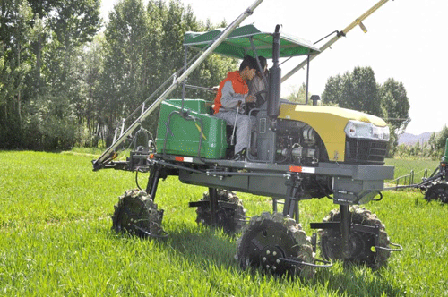 �Ƽ�������