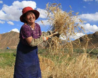 �����ؼZ�}������æ