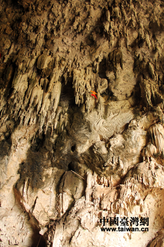 ���Ӷ�ʢ�a��C