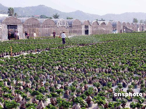 �_�r(n��ng)�������_���r(n��ng)��(chu��ng)�I(y��)�@���҂��Ǻܴ�Ĺ���