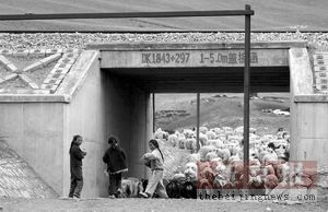 ����F·�h(hu��n)�u(p��ng)��(b��o)��8�³��_(t��i)