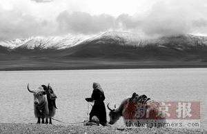 ����F·�h(hu��n)�u(p��ng)��(b��o)��8�³��_(t��i)