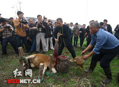 �����»��״ι��݂��y���׃��x��߀������Ը��(�M�D)