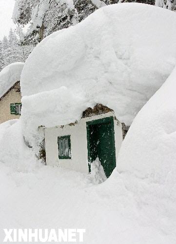這是2006年2月11日奧地利南部濱湖倫茨的民房被大雪覆蓋。積雪導(dǎo)致這里多處房屋被壓塌。