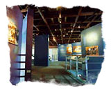 ���}��չ�l̩���������