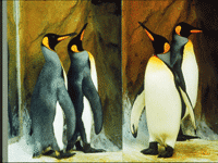 �_(t��i)����(d��ng)��@�������Z