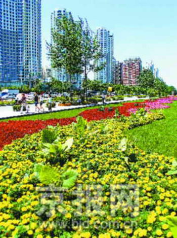 一切為了08奧運 朝陽推進環境建設長效機制(圖)