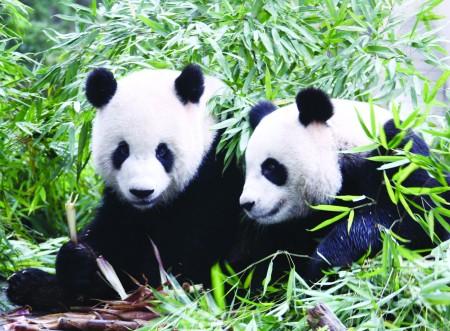 �����ϣ���͡��F�F����